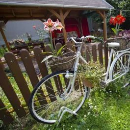 Szabó Vendégház Siklós - Medence/kert