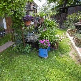 Szabó Vendégház Siklós - Medence/kert