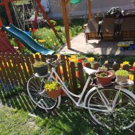 Szabó Vendégház Siklós - Medence/kert