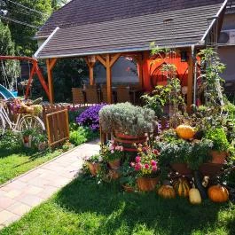 Szabó Vendégház Siklós - Medence/kert