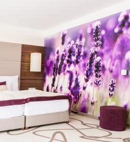 Ambient Hotel & ThermalSPA****