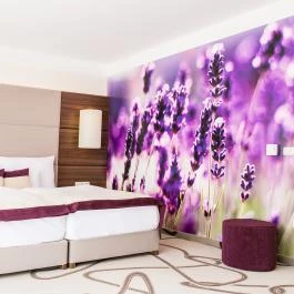 Ambient Hotel & ThermalSPA**** Sikonda - Szobák