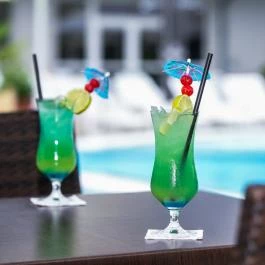 Ambient Hotel & ThermalSPA**** Sikonda - Vendéglátás