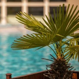 Ambient Hotel & ThermalSPA**** Sikonda - Wellness