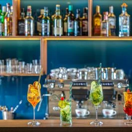 Ambient Hotel & ThermalSPA**** Sikonda - Vendéglátás