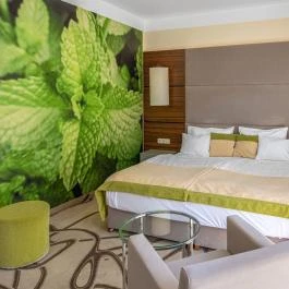 Ambient Hotel & ThermalSPA**** Sikonda - Szobák