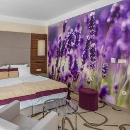 Ambient Hotel & ThermalSPA**** Sikonda - Szobák