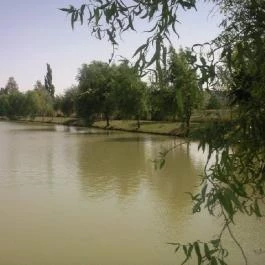 Tó Étterem Simontornya - Egyéb