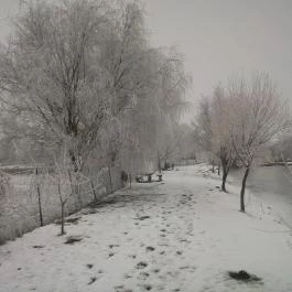 Tó Étterem Simontornya - Egyéb