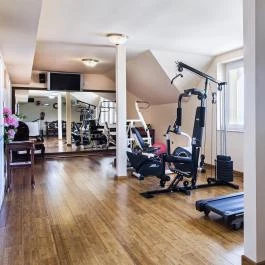 Fried Kastély Hotel Simontornya - Wellness