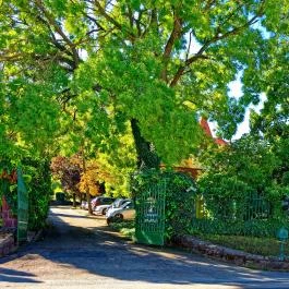 Fried Kastély Hotel Simontornya - Külső kép