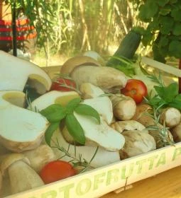 Rozmaring Kiskert Vendéglő és Pizzéria