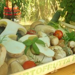 Rozmaring Kiskert Vendéglő és Pizzéria Siófok - Egyéb