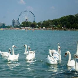 Siófoki Nagystrand Siófok - Egyéb