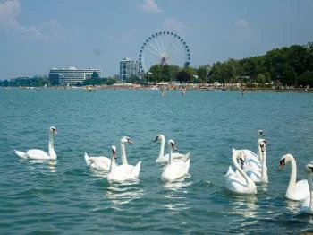 Siófoki Nagystrand Siófok