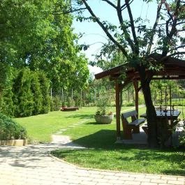 Apartman Soós Siófok - Medence/kert