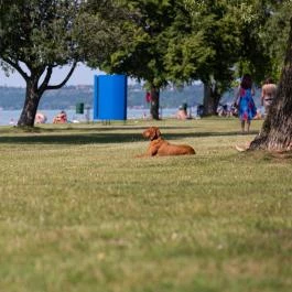 Aranypart Camping Siófok - Egyéb