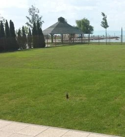 Balaton Hotel Siófok