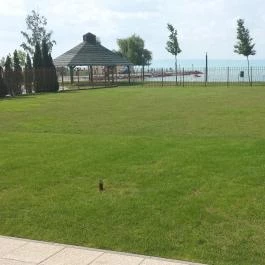 Balaton Hotel Siófok Siófok - Medence/kert