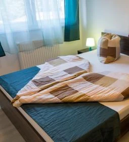 Bálint Wellness Apartman