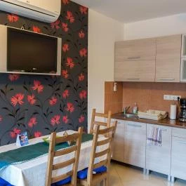 Bálint Wellness Apartman Siófok - Egyéb