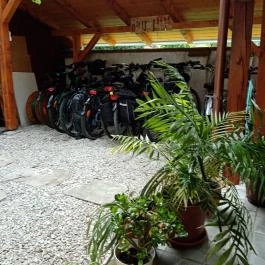 Balla Apartmanház Siófok - Medence/kert