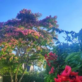 Balla Apartmanház Siófok - Egyéb