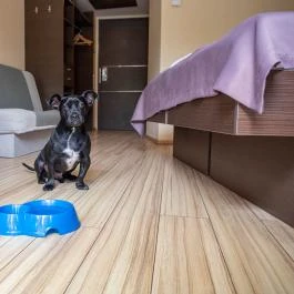 CE Plaza Hotel Siófok - Szobák