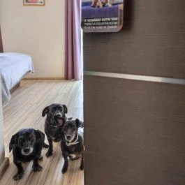 CE Plaza Hotel Siófok - Szobák