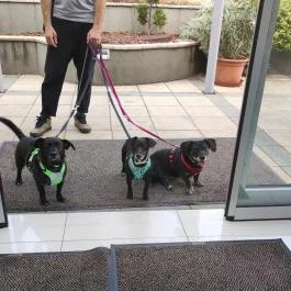 CE Plaza Hotel Siófok - Egyéb