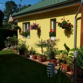 Diószeghy-Villa Siófok - Egyéb