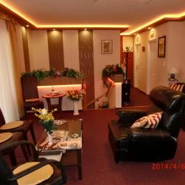 Diószeghy-Villa Siófok - Egyéb