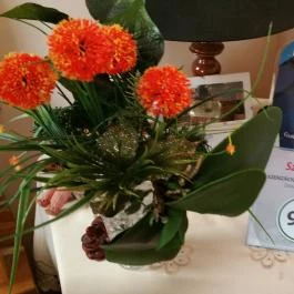 Diószeghy-Villa Siófok - Egyéb