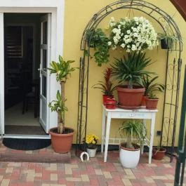 Diószeghy-Villa Siófok - Egyéb