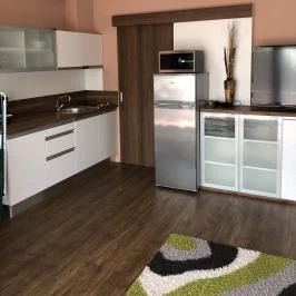 Dorina Wellness Apartman Siófok - Szobák