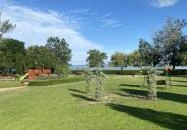 Goldensnug - Aranykuckó 9 Siófok