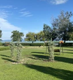 Goldensnug - Aranykuckó 9