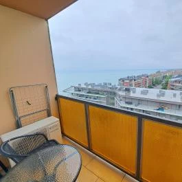 Goldensnug - Aranykuckó 9 Siófok - Egyéb