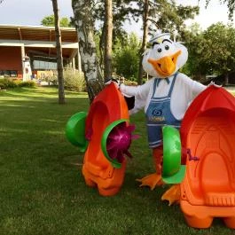 Hotel Azúr Siófok - Medence/kert