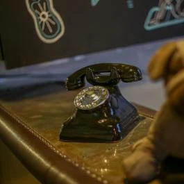 Hotel Carpe Diem Siófok - Egyéb