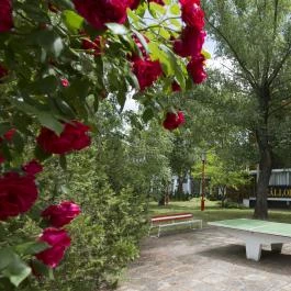 Hotel Radio Inn Siófok - Medence/kert