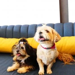 Hotel Yacht Wellness & Business Siófok - Szobák