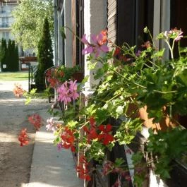 Kristály Hotel Siófok Siófok - Egyéb