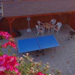 Lola Vendégház Siófok - Szórakozás/Sport