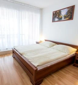 Luxury Apartment Hotel