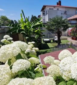 Napsugár Resort