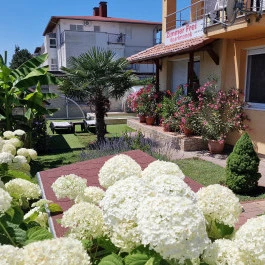 Napsugár Resort Siófok - Medence/kert