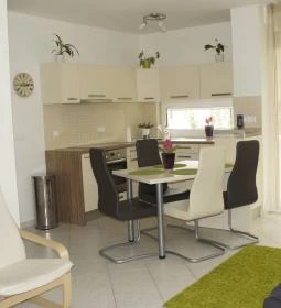 Petra Wellness Apartman