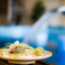 Piknik Wellness Hotel Siófok - Egyéb