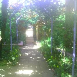 Gusztilak Üdülő Siófok - Medence/kert